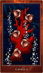 롦5