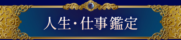 �������Ż�����