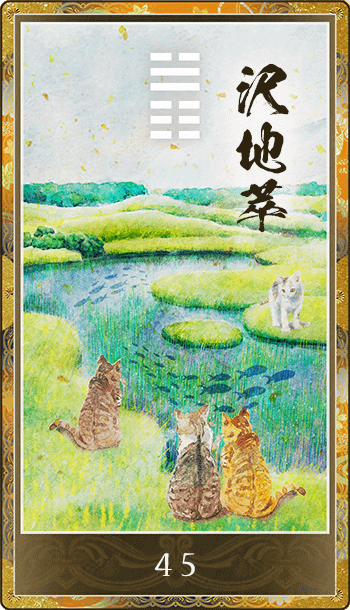 沢地萃(たくちすい)