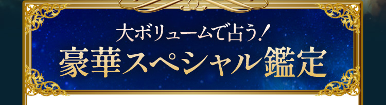大ボリュームで占う!豪華スペシャル鑑定