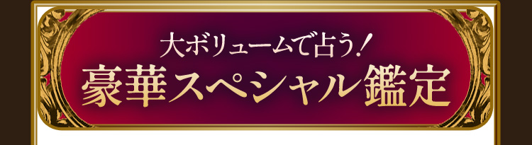 大ボリュームで占う!豪華スペシャル鑑定
