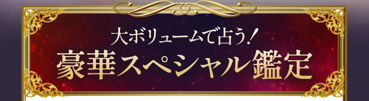大ボリュームで占う!豪華スペシャル鑑定