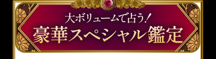 大ボリュームで占う!豪華スペシャル鑑定