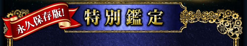 永久保存版 特別鑑定