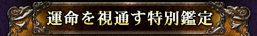 運命を視通す特別鑑定